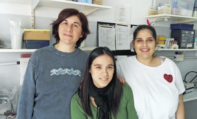 Grupo de la Dra. Silvia Lopez